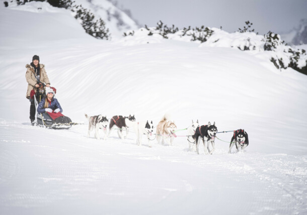     Huskies am Arlberg 